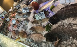 image of lagoon mullet fish research for Sri Lankan Cookery Class Didsbury